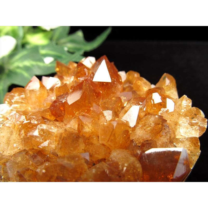 池田様★専用★約1.2kg以上あり‼️強い金運‼️天然シトリンクラスター原石 池田様☆専用☆約1.2kg以上あり‼️強い金運‼️天然