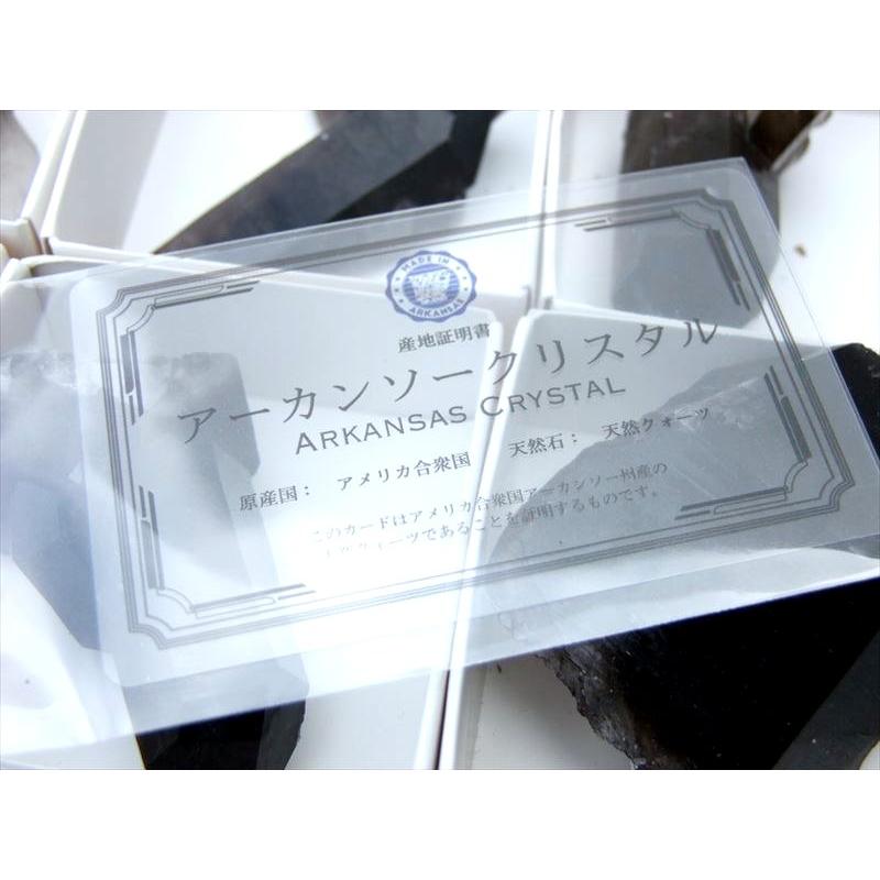 Lサイズ 1個売り アーカンソー産黒水晶ミニクラスター（カード付き  