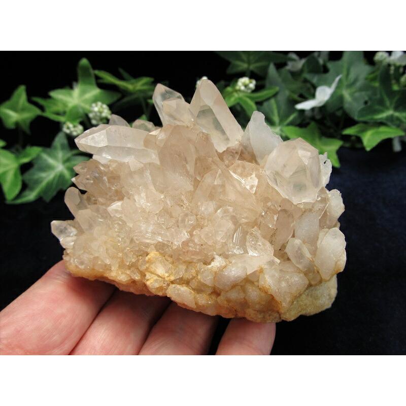 希少 ほんのりピンク『地球最後の秘境』ヒマラヤより直送 マニカラン産