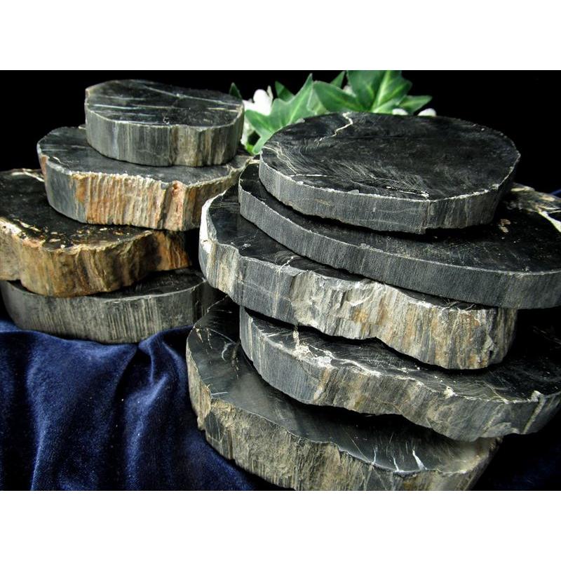 レアなブラック珪化木 ブラック珪化木(ペトリファイドウッド) プレート