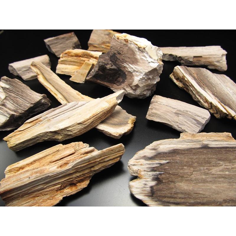 リアル木の化石！ 珪化木 原石 重さ20g-30g シリカ化した木の化石 神秘