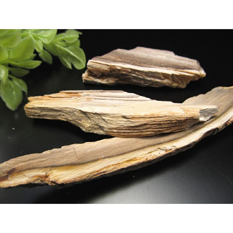 送料無料　綺麗な珪化木化石　重さ6.7ｋｇ 楽天市場】リアル木の化石！【珪化木 原石】重さ20g-30g シリカ化した