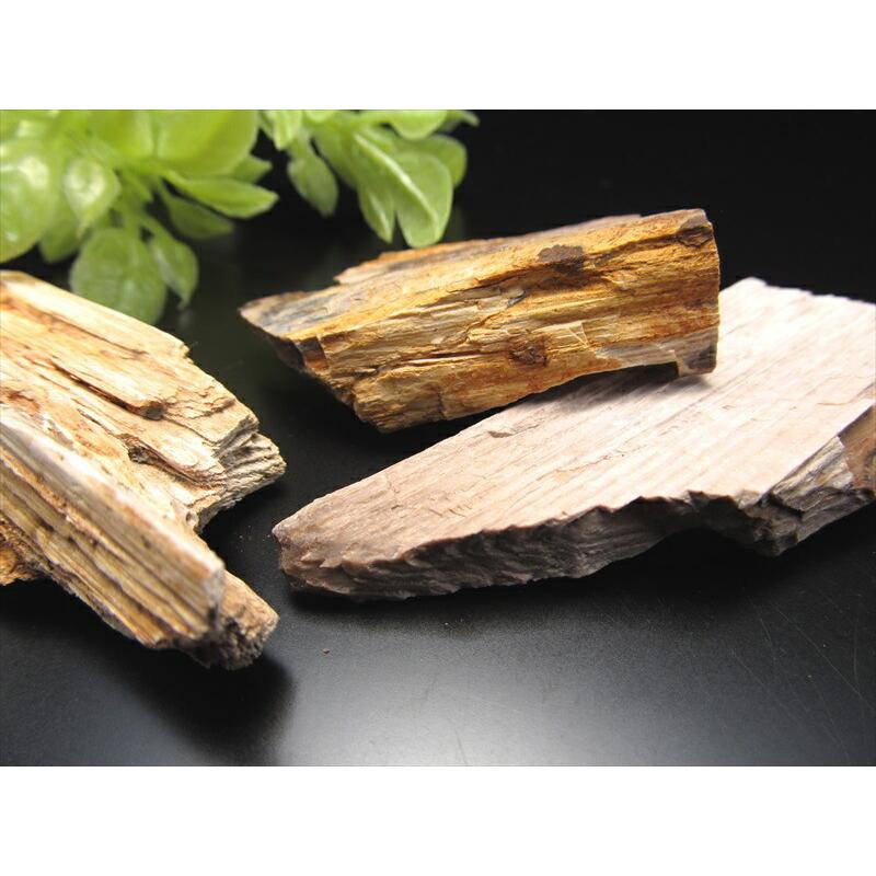 木化石　ブラジル産　30Kg弱くらい　珪化木 受け渡しも可能です 木化石 ブラジル産 30Kg弱くらい 珪化木 受け渡しも可能です