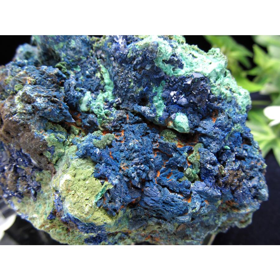 深く濃いブルーのアズライト アズライトマラカイト (アズロマラカイト