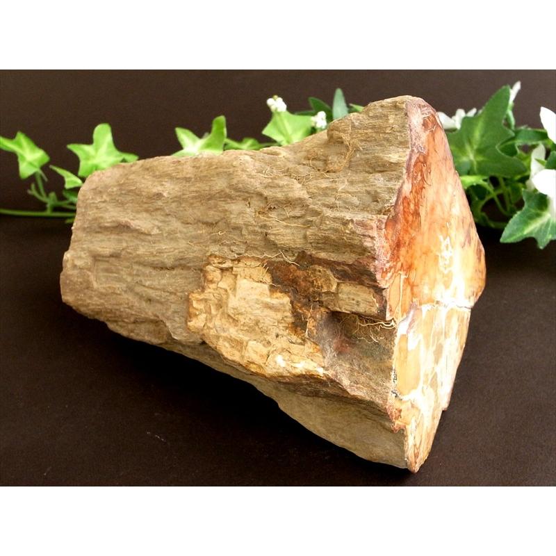 一面磨き 珪化木 ペトリファイドウッド 原石 最大幅 122mm 重さ 1167g 神秘なる大自然の力 ウッドストーン 博愛・真心・希望 木の化石 マダガスカル産の画像