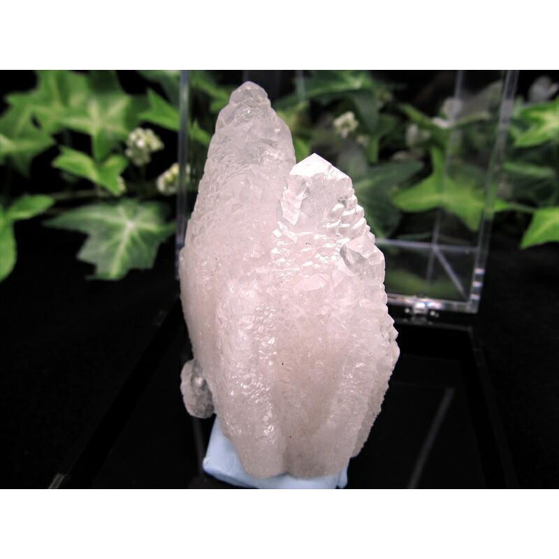 開運 大人気の妖艶なピンク色発光 蛍光ピンクカルサイト 原石