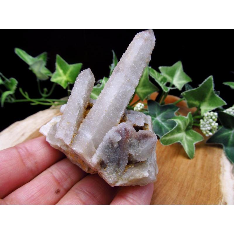 激レアスピリットクォーツカクタスアメジスト原石 サボテン水晶一点物