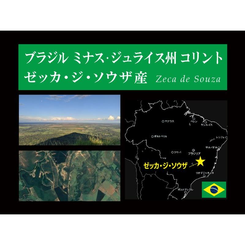 5A 激レア産地 ゼッカ産 ヴィジョンクォーツ 単結晶 1個売り 重さ15g