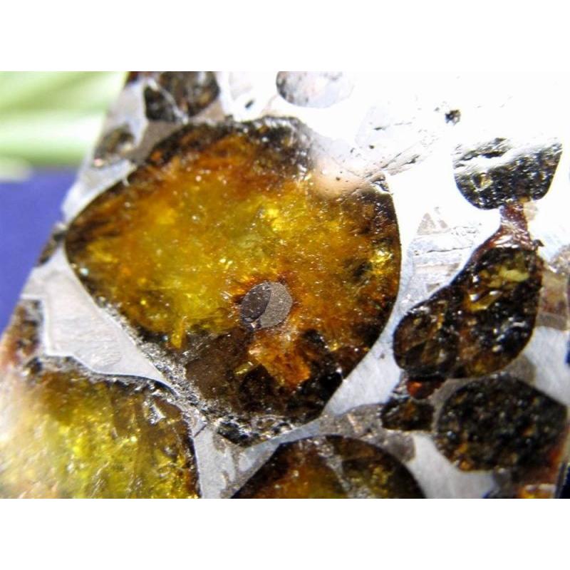 セリコ隕石 パラサイト隕石 原石 スライスプレート 最大幅約28.3mm 約