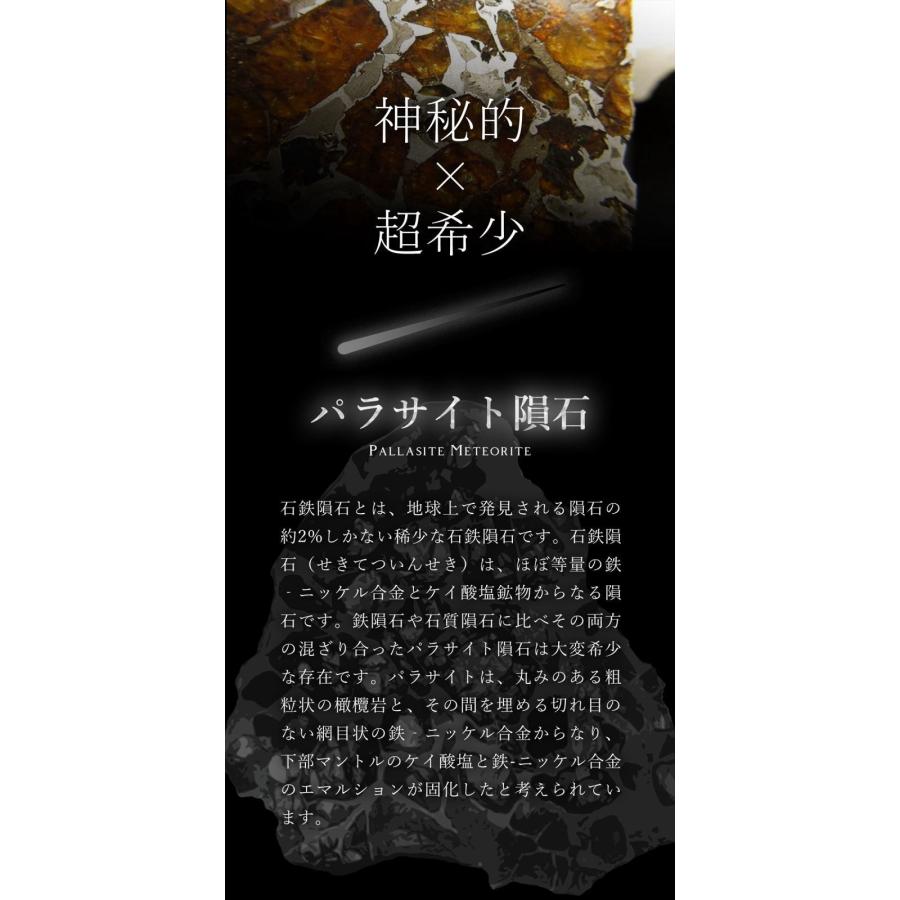 セリコ隕石 パラサイト隕石 原石 スライスプレート 最大幅約29.4mm 約