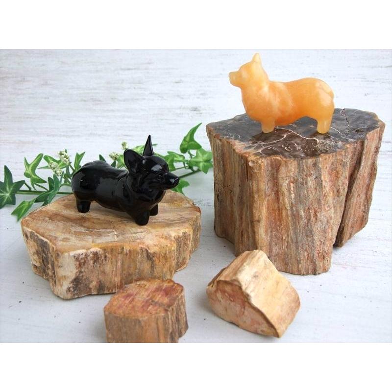 一面磨き 珪化木 ペトリファイドウッド 原石 重さ300g-400g 1個売り