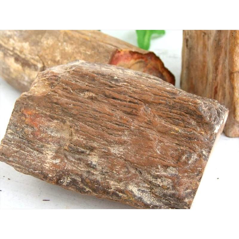 一面磨き 珪化木 ペトリファイドウッド 原石 重さ300g-400g 1個売り