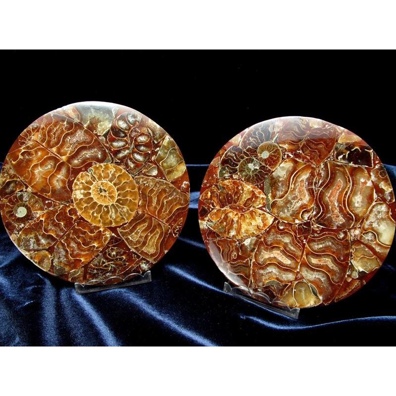 アンモナイト化石 円形スライス 直径約110mm前後 幸運を呼び込む石 1つ