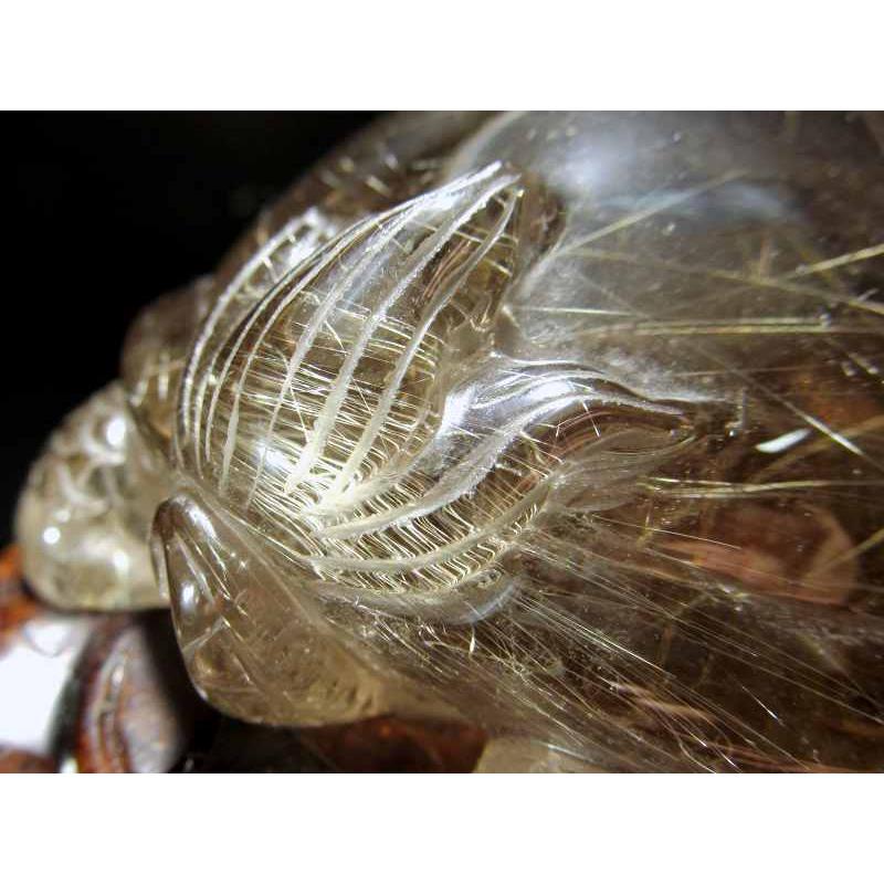 レア】ルチル亀さん ⑦