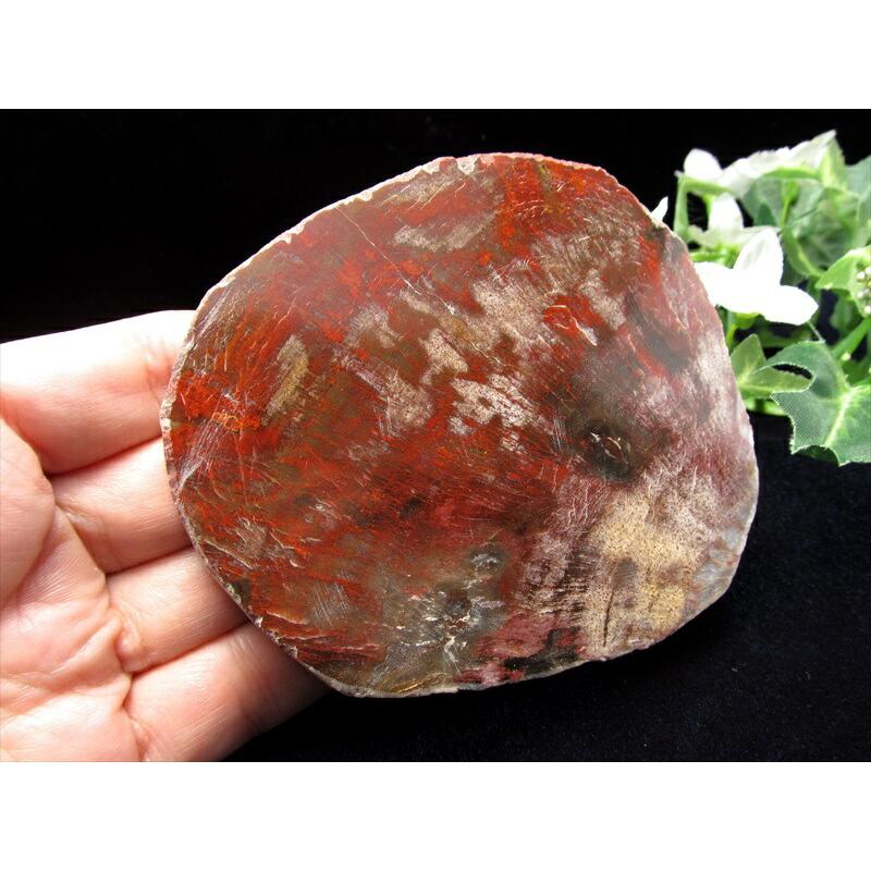 レッドタイプ 珪化木 ペトリファイドウッド プレート 置物 重さ200g