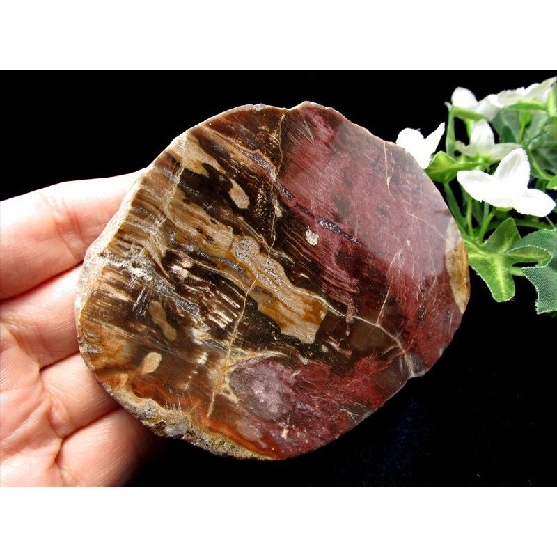 レッドタイプ 珪化木 ペトリファイドウッド プレート 置物 重さ200g