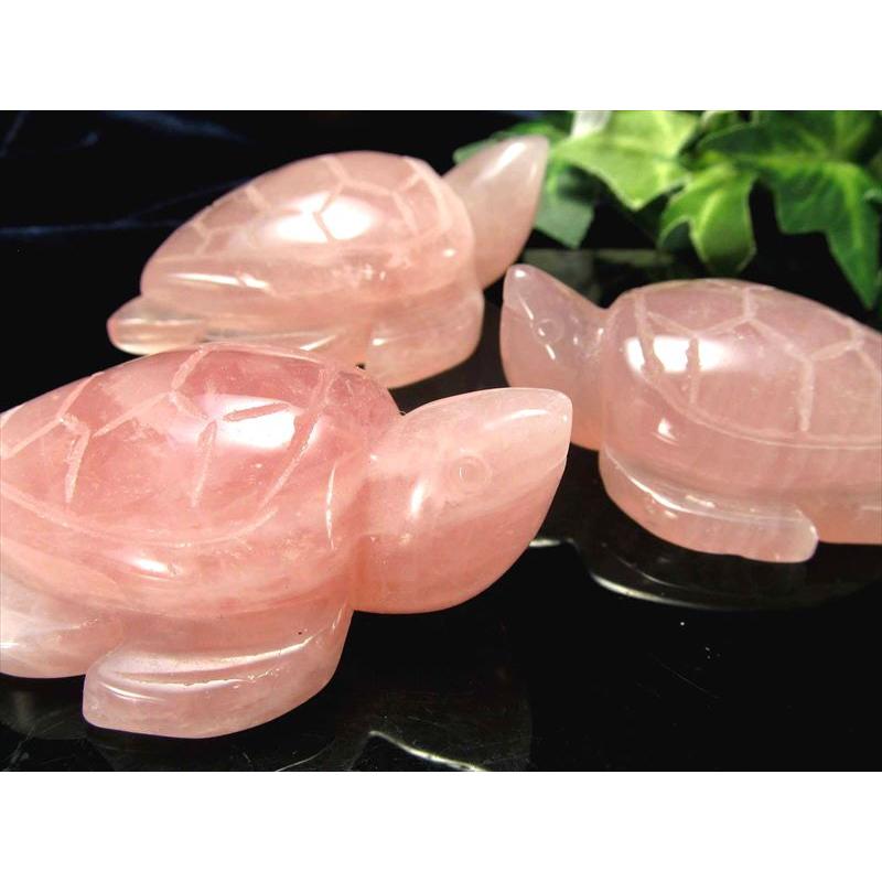 more 選べる4種類 天然石 亀彫刻置物 1個売り 重さ60g-80g前後