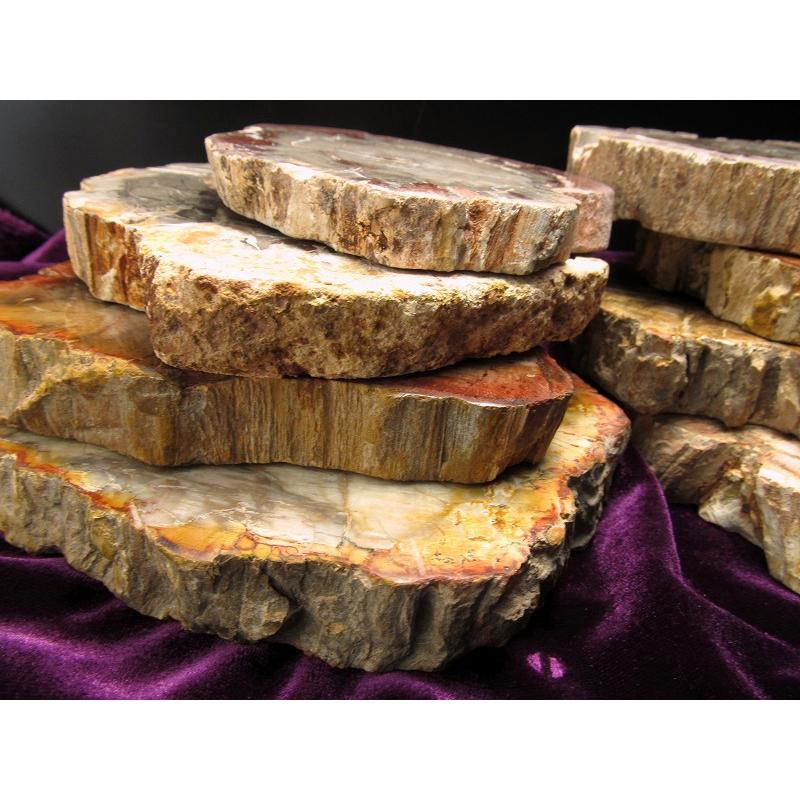 珪化木 ペトリファイドウッド プレート 置物 重さ500g-600g 神秘なる大