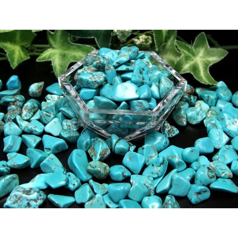 鮮やかなマトリックス模様 ハウライトターコイズ さざれ 200g 染色