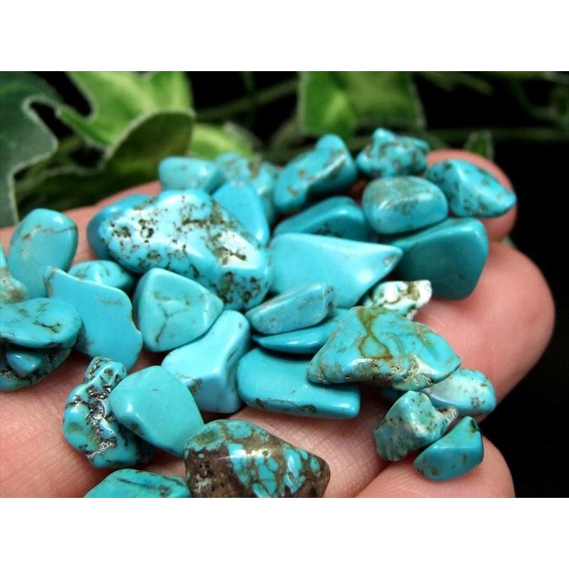 鮮やかなマトリックス模様 ハウライトターコイズ さざれ 200g 染色