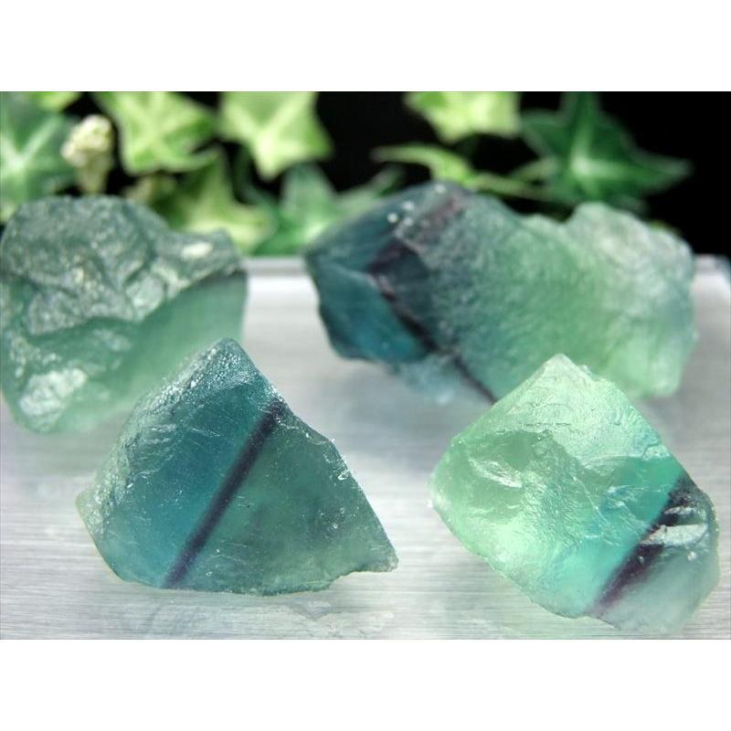 新着！スーパーキュートなフローライト原石S/鉱物標本 【公式通販】