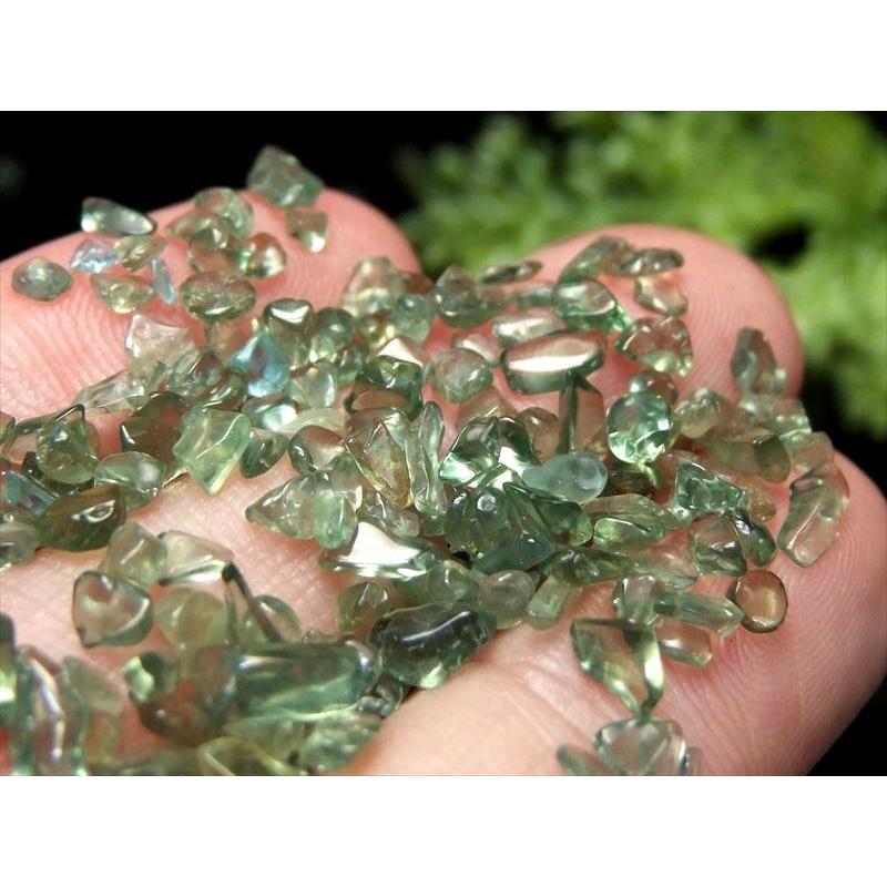 小粒タイプ 透明感抜群・濃色 グリーン アパタイト さざれ 約100g 粒約