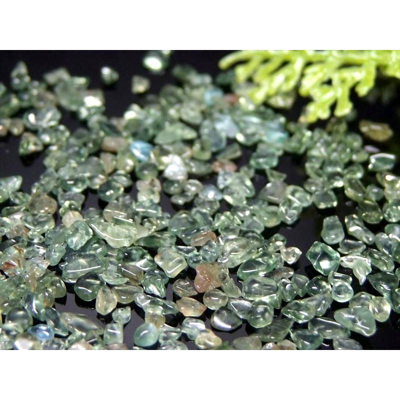 小粒タイプ 透明感抜群・濃色 グリーン アパタイト さざれ 約100g 粒約