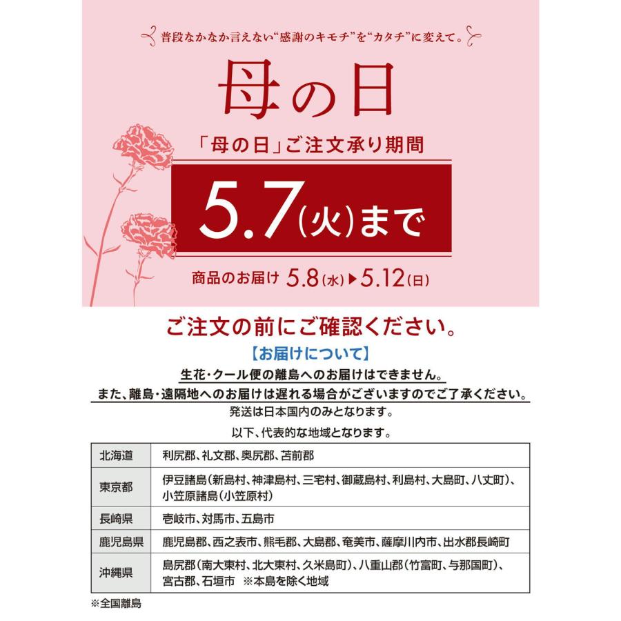 母の日 プレゼント ユリ鉢植え マダガスカルジャスミン 鉢植え アレンジ 花束 送料無料 メッセージカード付き｜con-nect｜05