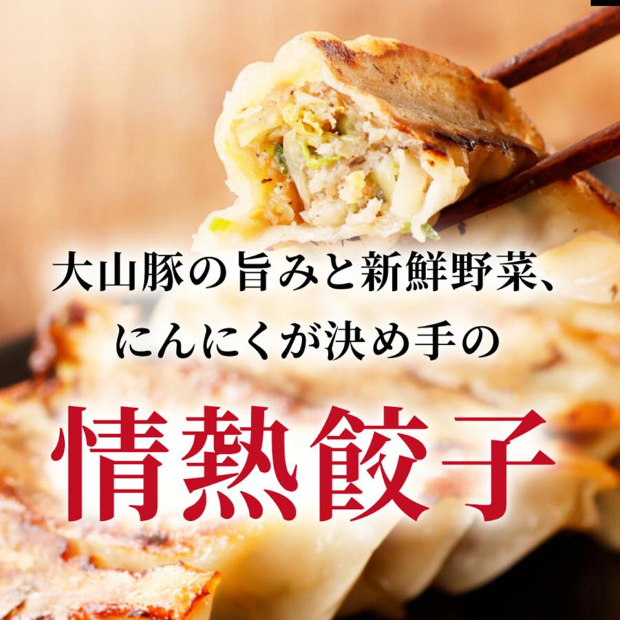 餃子 ぎょうざ ギョウザ 取り寄せ 大連 情熱餃子 40個入り(20個入り×2