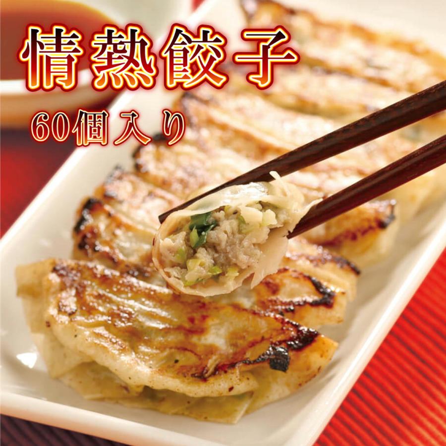 餃子 ぎょうざ ギョウザ 取り寄せ 大連 情熱餃子 60個入り(20個入り×3パック) 冷凍便 ニンニク たっぷり | 