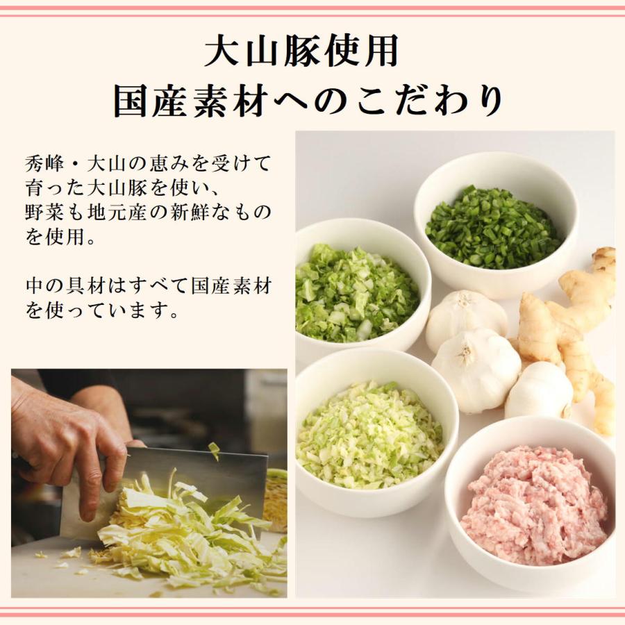 餃子 ぎょうざ ギョウザ 取り寄せ 大連 情熱餃子 60個入り(20個入り×3パック) 冷凍便 ニンニク たっぷり |  | 03