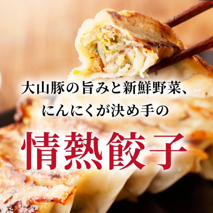 餃子 ぎょうざ ギョウザ 取り寄せ 大連 情熱餃子 80個入り(20個入り×4パック) 冷凍便 ニンニク たっぷり |  | 01