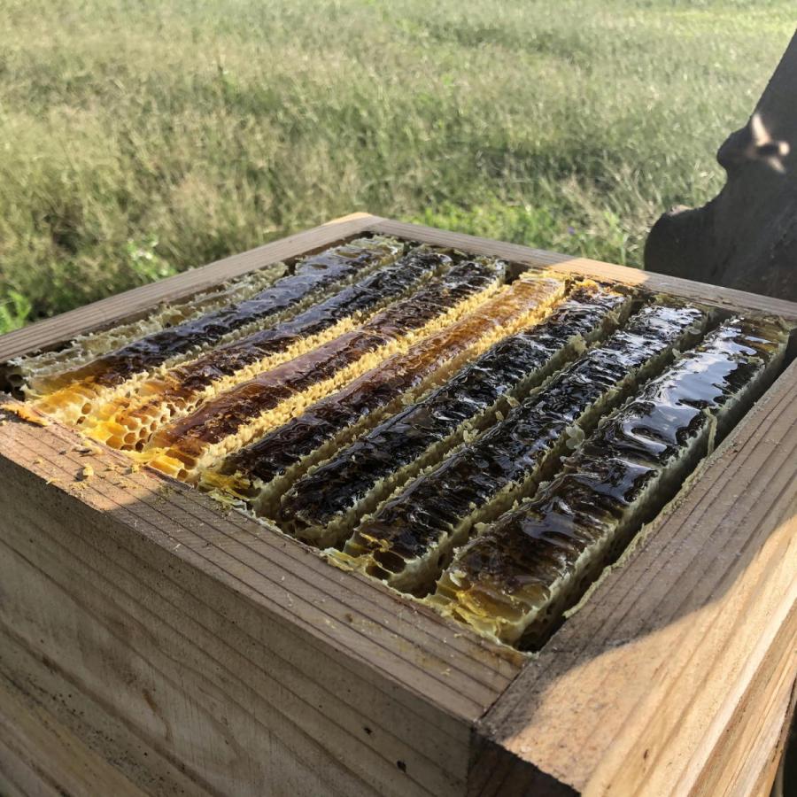 お年玉セール特価】 日本蜜蜂 非加熱 生ハチミツ はちみつ 1Ｋ i9tmg