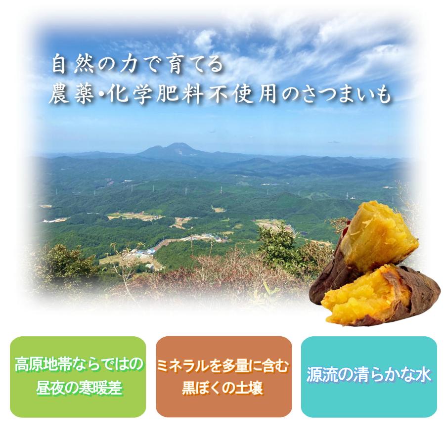干し芋 甘すぎて研究対象に！ さつまいも 【森の絹】ほしいも 150g ×10個 紅はるか 奥出雲 飯南町産 無添加 無農薬  [  子供 ペット ] |  | 06