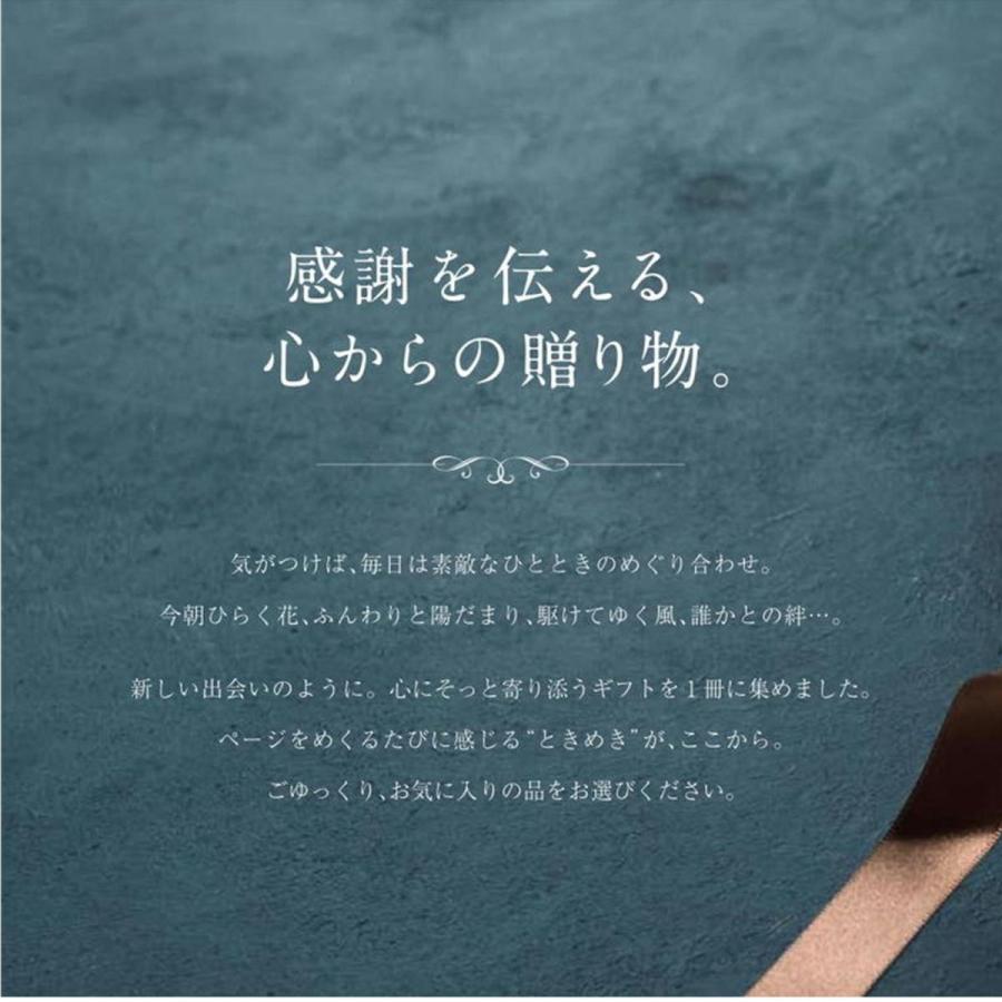 香典返し 法要 専用 カタログギフト 3,400円セット 挨拶状 手提げ袋 志 満中陰志 偲び草 |  | 06