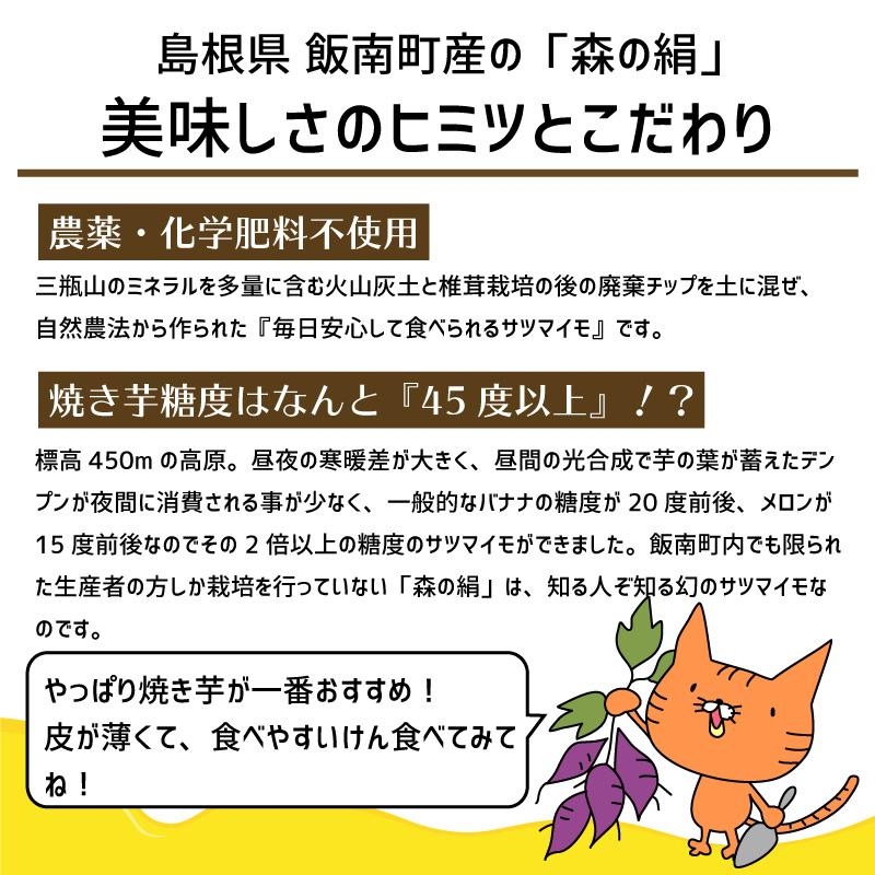 ヒルナンデスで紹介♪ さつまいも 森の絹 生芋 Lサイズ 2kg 紅はるか 甘すぎて研究対象になった ブランド 熟成 島根県産 奥出雲 飯南町産 希少 焼き芋 農家直送 |  | 02