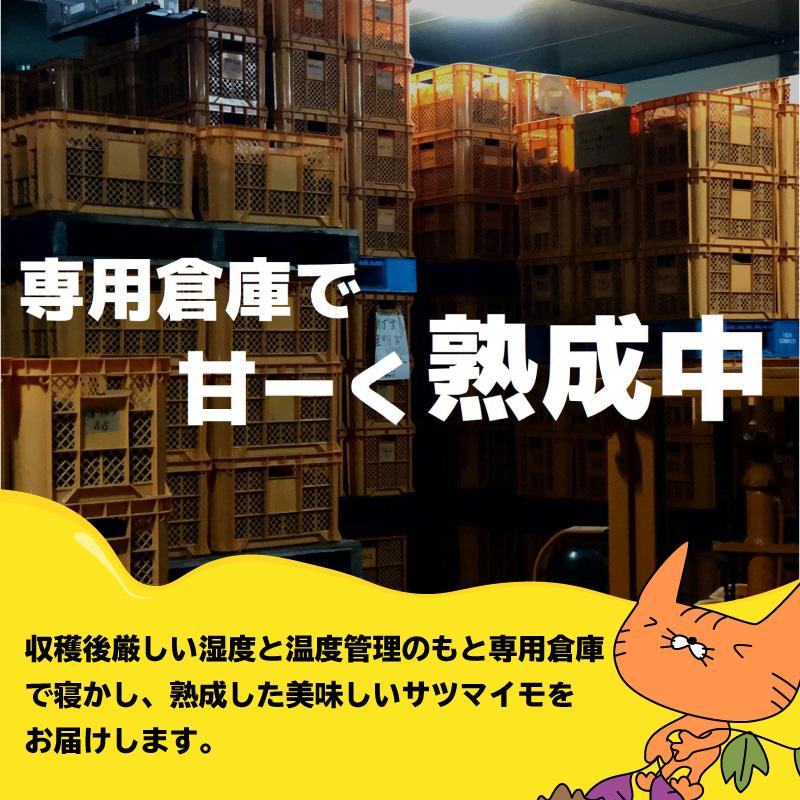 ヒルナンデスで紹介♪ さつまいも 森の絹 生芋 Lサイズ 2kg 紅はるか 甘すぎて研究対象になった ブランド 熟成 島根県産 奥出雲 飯南町産 希少 焼き芋 農家直送 |  | 06