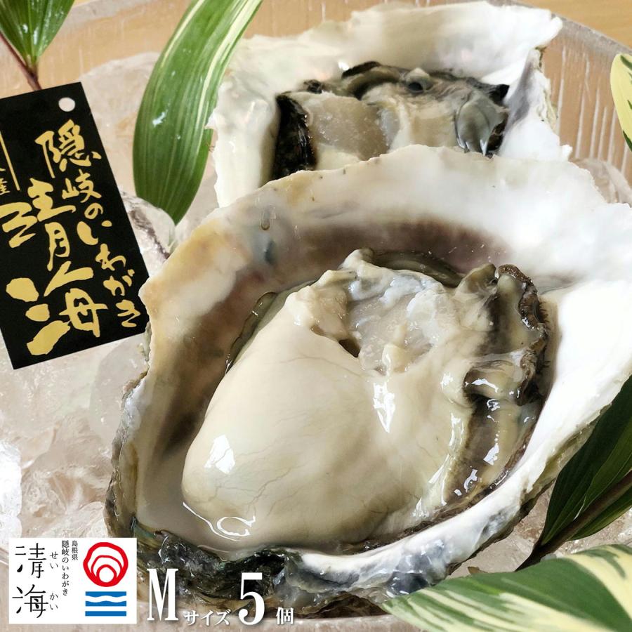 隠岐 ブランド 岩ガキ いわがき 清海 Mサイズ 250g 300ｇ 5個セット 殻付き 岩牡蠣 生食用 冷凍 専用ナイフ 軍手 レシピ付き Seikai M5 クラムプラス 通販 Yahoo ショッピング