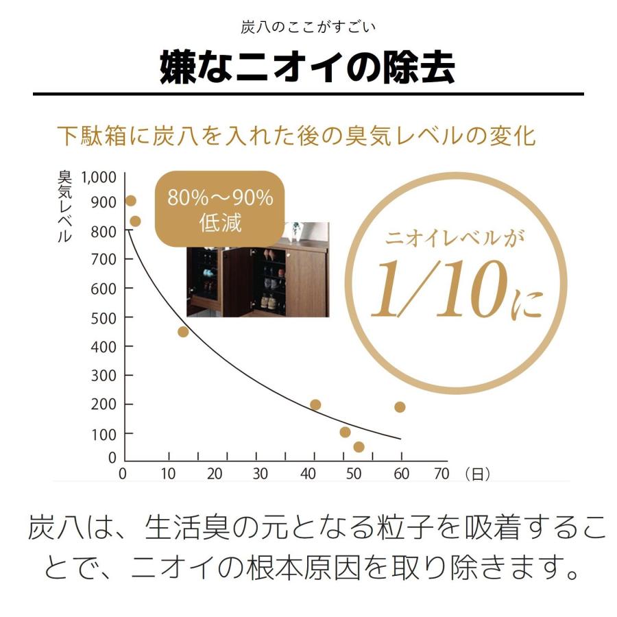 炭八 3Lサイズ10個 ＋ スマート小袋4個 セット 湿気 消臭 除湿 調湿