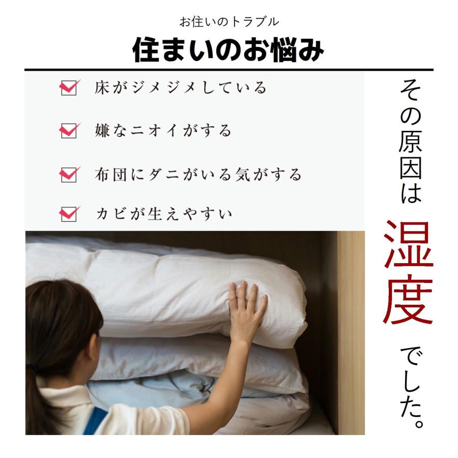 炭八 小袋 増量タイプ 700ml 10袋セット  除湿 消臭 湿気とり かび対策 調湿 押入 収納 出雲 炭はち  繰り返し押入 下駄箱 タンス｜con-nect｜09