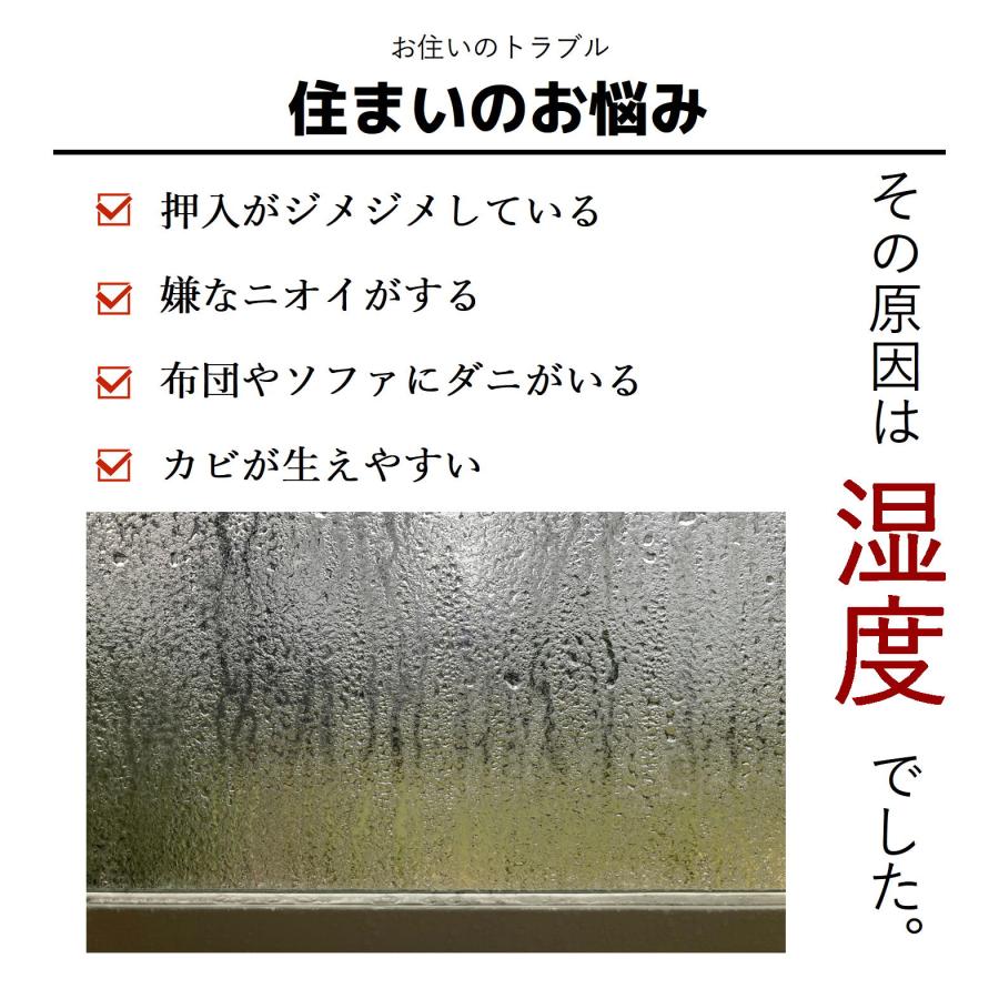 半永久的に 湿気対策 消臭対策 鳥取県産 竹炭 室内用 中サイズ 中袋 6袋 除湿剤 消臭 におい カビ 対策 調湿 押入 収納 出雲 大山竹炭 誠守 SDGs |  | 01