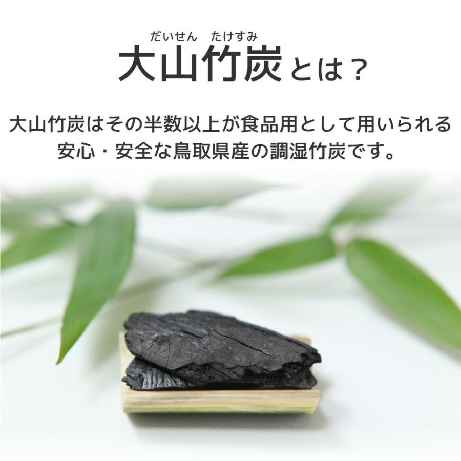 半永久的に 湿気対策 消臭対策 鳥取県産 竹炭 室内用 ミニ ２袋 セット 除湿剤 消臭 におい カビ 対策 調湿 押入 収納 出雲 大山竹炭 誠守 SDGs |  | 01