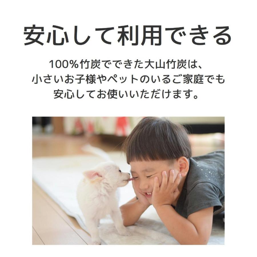 半永久的に 湿気対策 消臭対策 鳥取県産 竹炭 室内用 ミニ ４袋 セット 除湿剤 消臭 におい カビ 対策 調湿 押入 収納 出雲 大山竹炭 誠守 SDGs |  | 05