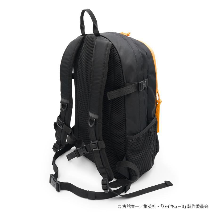 ハイキュー グッズ 公式 Coleman ウォーカー25 バックパック