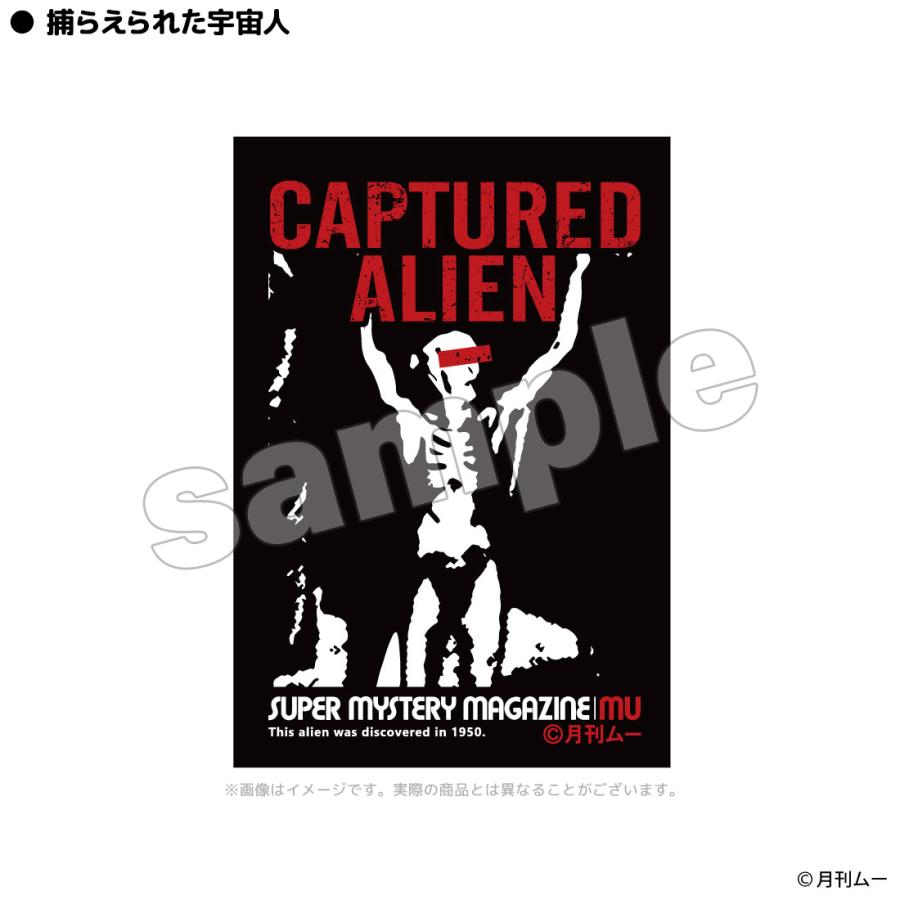 月刊ムー グッズ 公式 ムー ステッカー 全3種 ビッグフット フラットウッズモンスター 捕らえられた宇宙人 日本製 (ネコポス対応) |  | 03