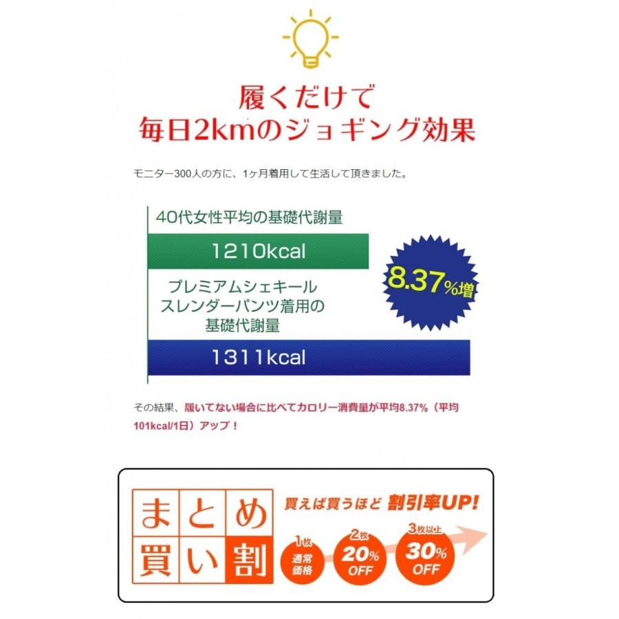 補正下着 ダイエット プレミアムシェキールプラス 骨盤 引き締め 脚