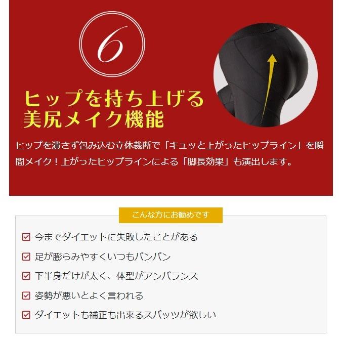 補正下着 ダイエット プレミアムシェキールプラス 骨盤 引き締め 脚