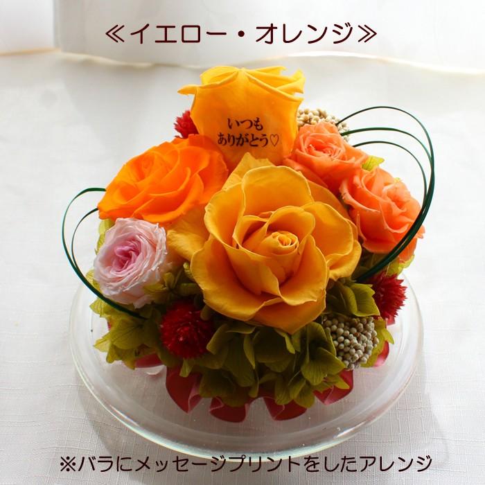 ラウンドドーム プリザーブドフラワー メッセージローズ 誕生日プレゼント 送別 退職祝い メッセージフラワー 結婚祝い ホワイトデー 母の日 ギフト Mpr 003 コン アモーレ 通販 Yahoo ショッピング