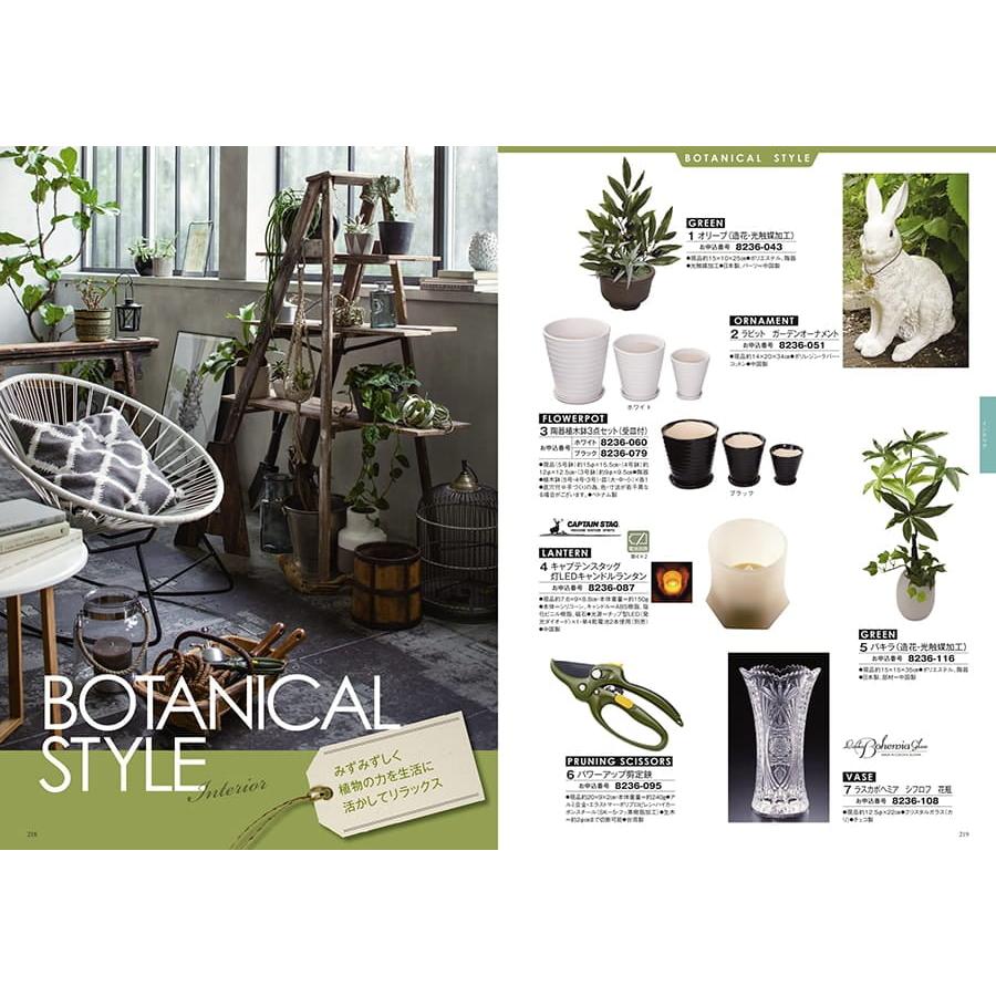 カタログギフト 至高(しこう) 水仙(すいせん) 送料無料 内祝い お祝い 新築 出産 香典返し おしゃれ 人気 プレミアム 旅行 4000円 |  | 06