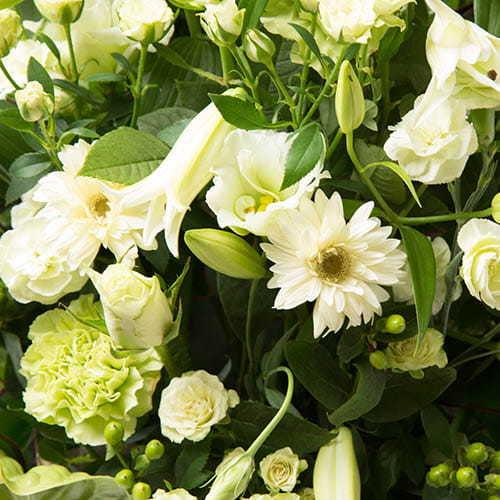 モンソーアレンジ TG(トレグラン) 【ライム系】 お花 フラワーギフト プレゼント おしゃれ 御歳暮 お歳暮 夏ギフト |  | 01